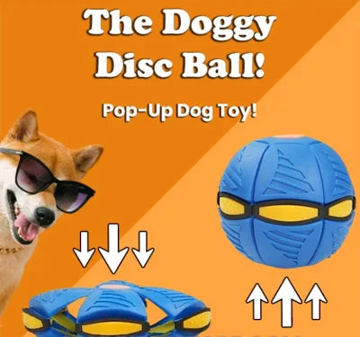 Der Hundescheibenball