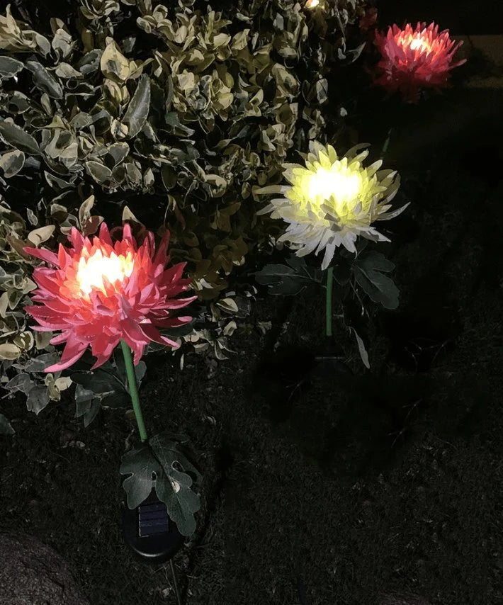 SolarGlow™ -  Chrysantheme Solar Gartenstecker LED