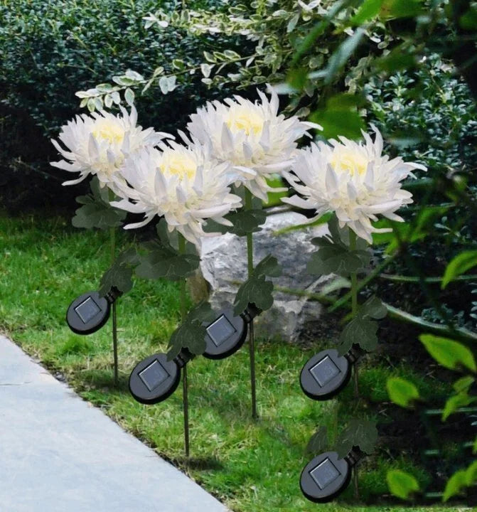 SolarGlow™ -  Chrysantheme Solar Gartenstecker LED