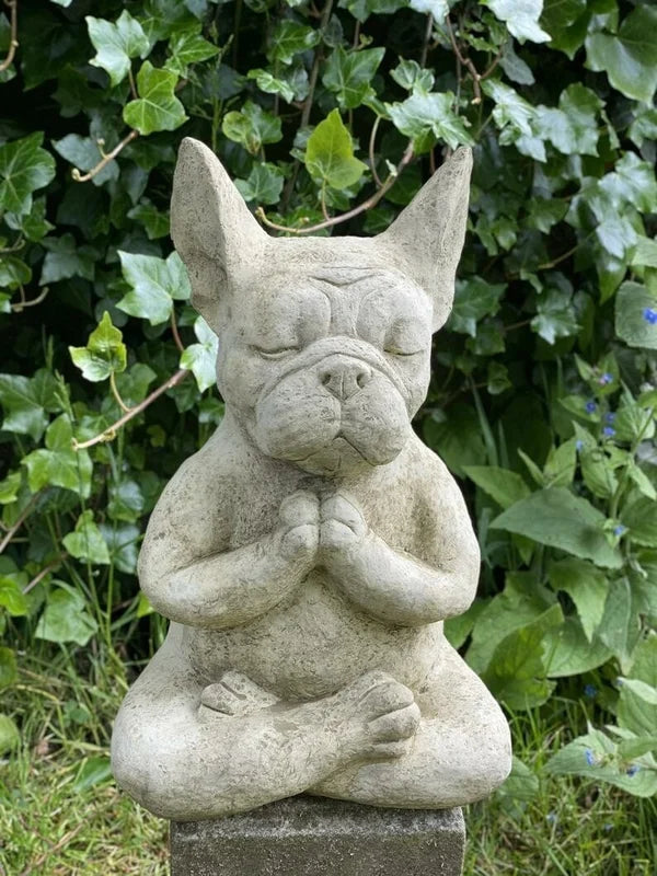 Meditierende sitzende französische Bulldogge