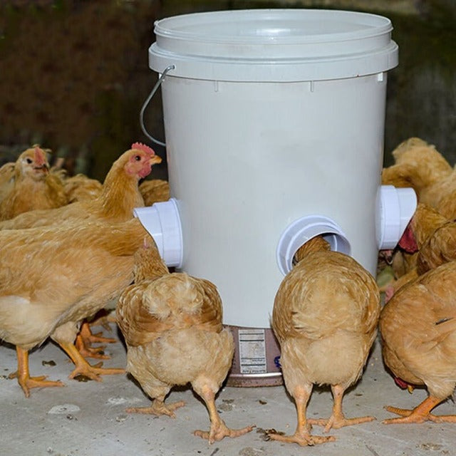DIY-Hühnerfutterautomat