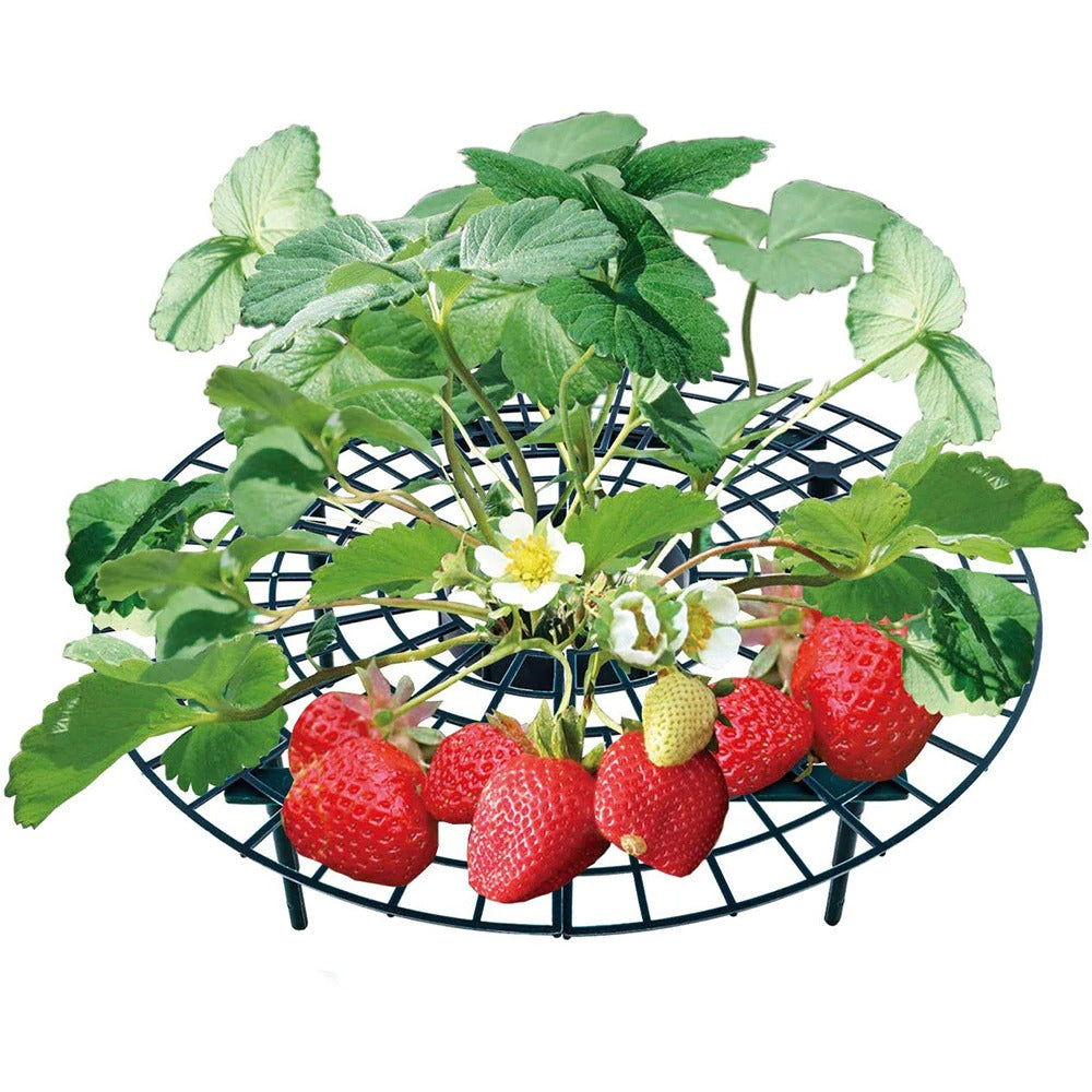 BeerenLeben™ - Erdbeer-Pflanzrahmen