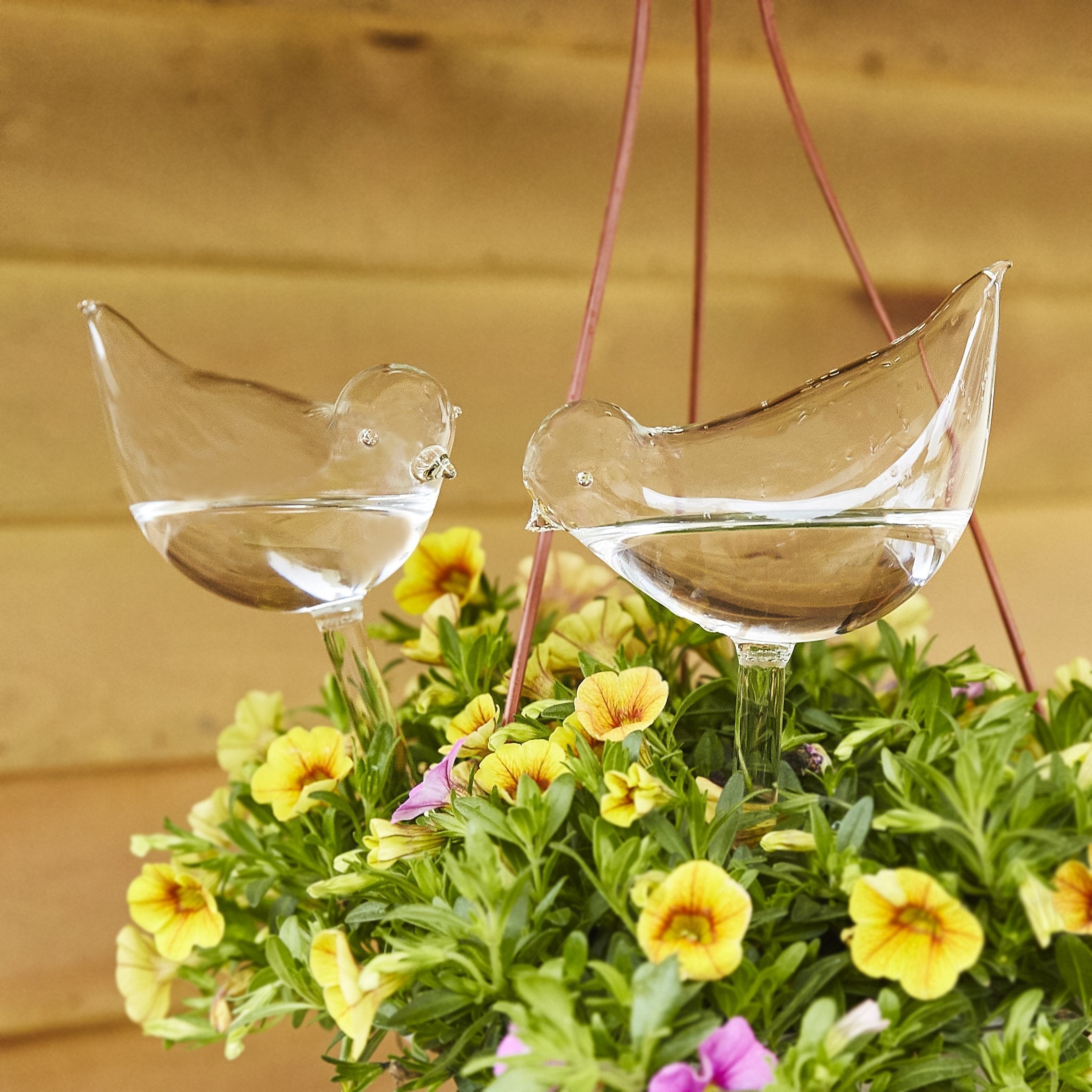 Selbstbewässernde Pflanzen-Glaskolben