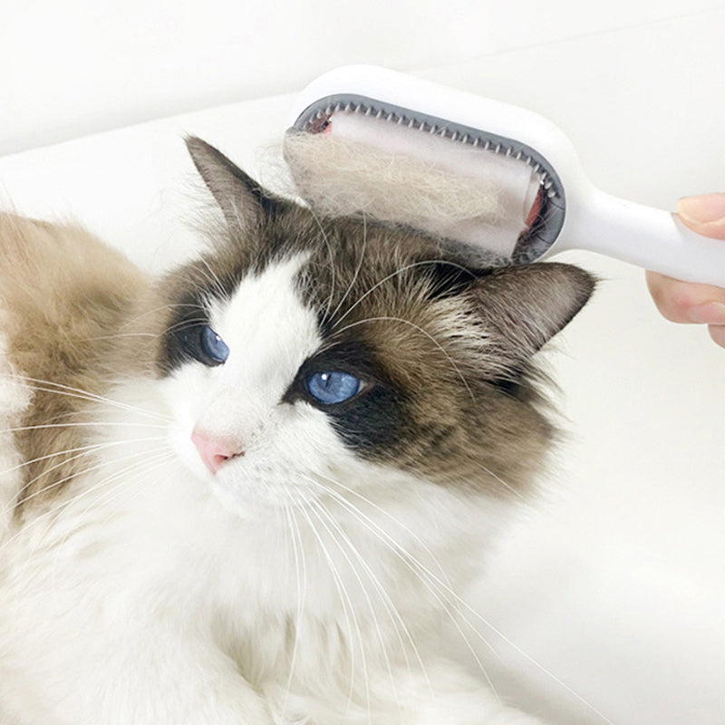 Klugeule Haustier Reinigung Haarentfernung Kamm
