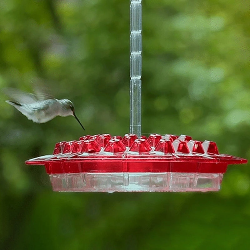 Kolibri-Futterautomat Eingebauter Ameisenhaufen