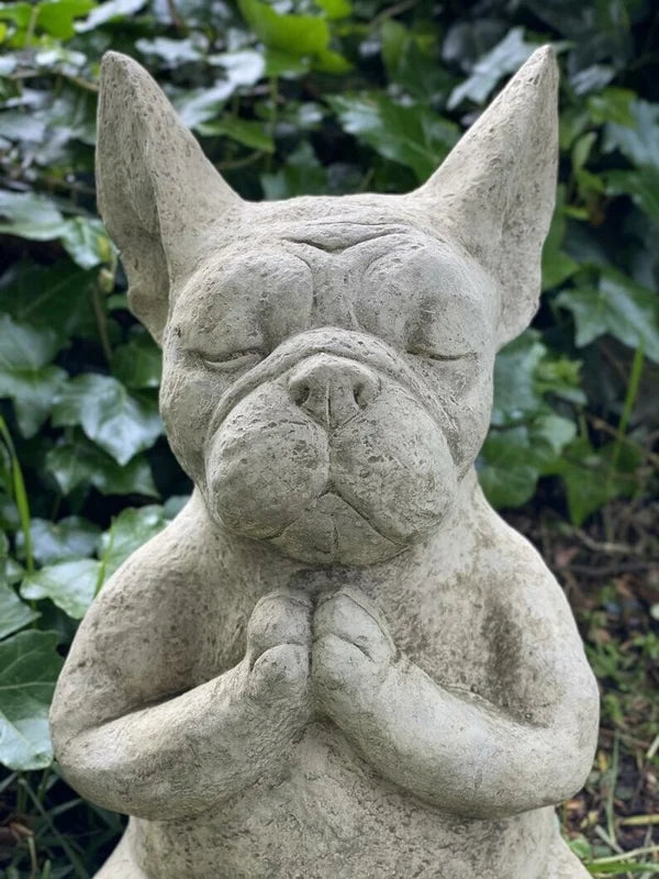 Meditierende sitzende französische Bulldogge