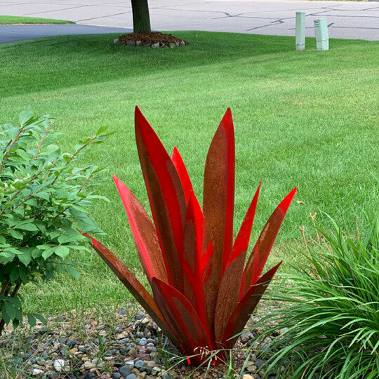 Rote Tequila-Agave-Perfekt für Gartendekoration