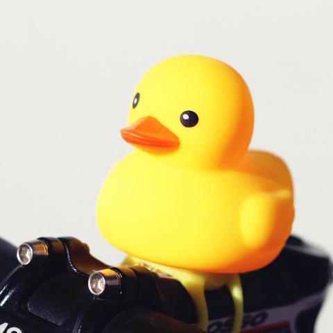 Lichthupe "Ducky"