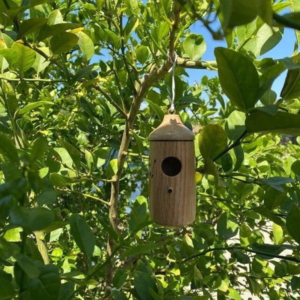 Kolibrihaus aus Holz - Geschenk