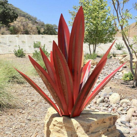 Rote Tequila-Agave-Perfekt für Gartendekoration